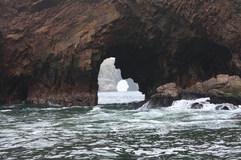 1154-Isole Ballestas,19 luglio 2013.JPG